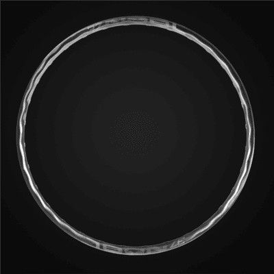 Nobl TR37 Rims: AM / Enduro (Laser Etched)